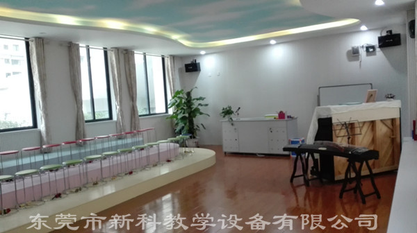 <a href='http://www.szmljz.com/chanpin/58-1.html' target='1' style='font-size:18px; font-weight:bold; color:#000000;'>音樂功能室</a>